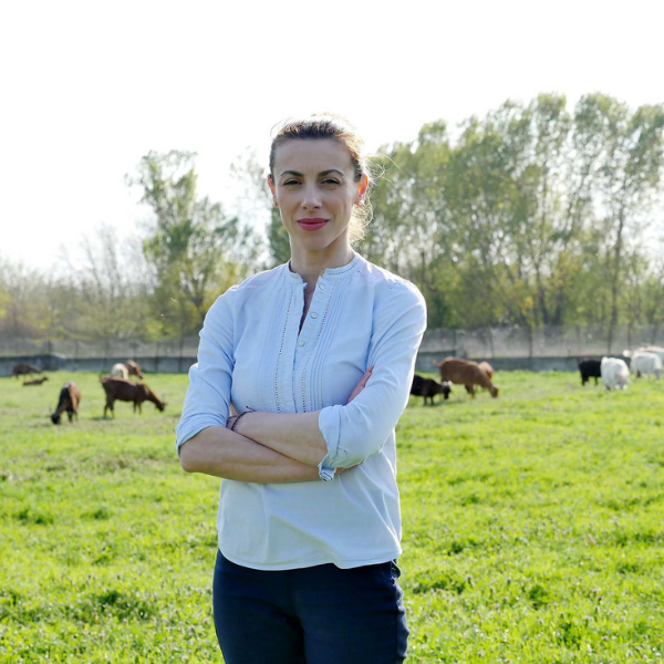 Ανώνυμο σχέδιο – 2025-07-21T204902.551